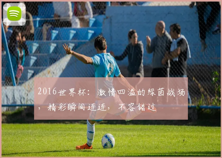 2016世界杯：激情四溢的绿茵战场，精彩瞬间连连，不容错过