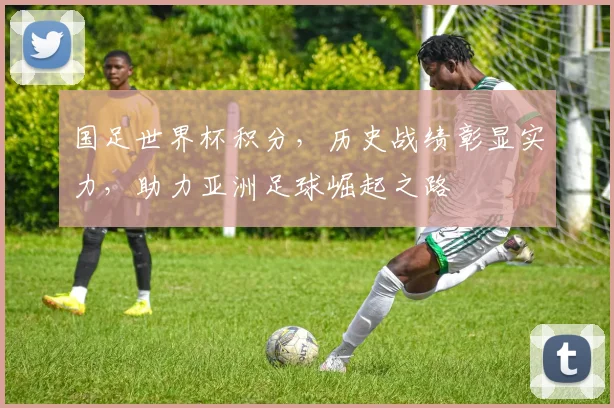 国足世界杯积分，历史战绩彰显实力，助力亚洲足球崛起之路