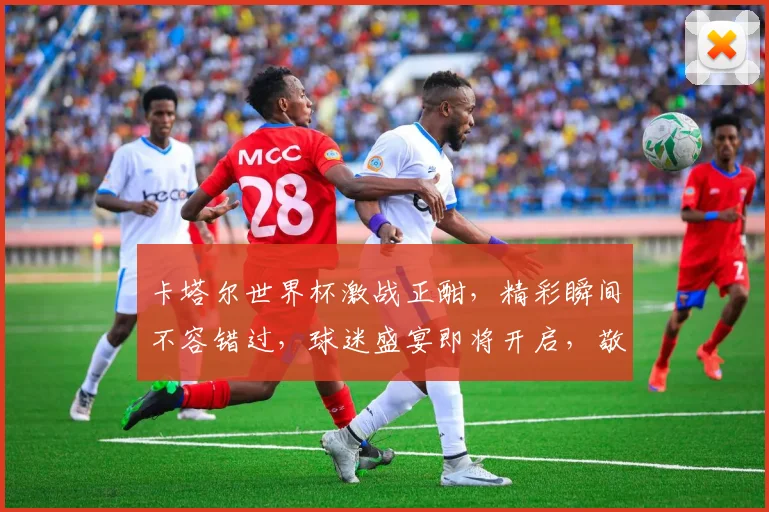 卡塔尔世界杯激战正酣，精彩瞬间不容错过，球迷盛宴即将开启，敬请期待