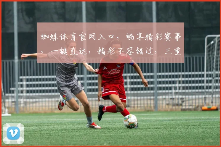 蜘蛛体育官网入口，畅享精彩赛事，一键直达，精彩不容错过，三重福利等你来