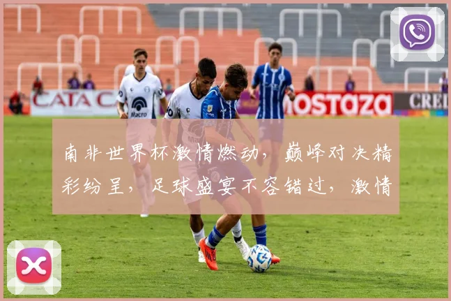 南非世界杯激情燃动，巅峰对决精彩纷呈，足球盛宴不容错过，激情时刻，你准备好了吗