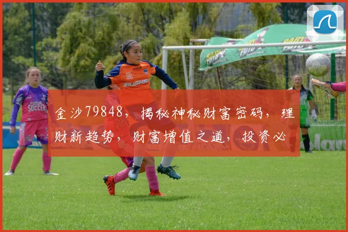 金沙79848，揭秘神秘财富密码，理财新趋势，财富增值之道，投资必看
