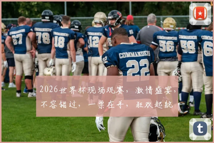 2026世界杯现场观赛，激情盛宴，不容错过，一票在手，狂欢起航
